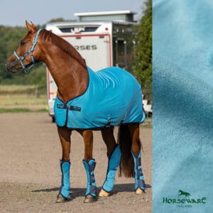 0BFECF26-14F6-44C9-87FA-CA4204A29AD1