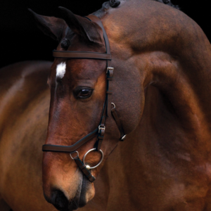 Rambo Micklem Competition Bridle – Marrone