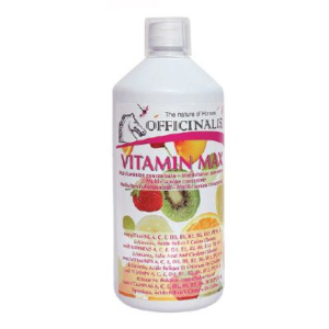 Vitamin Max 1L