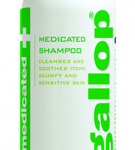 Gallop Medicated Shampoo