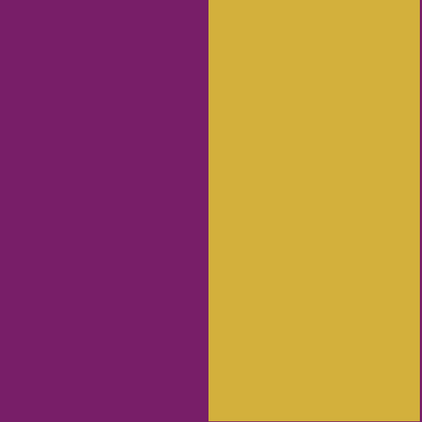 Purple/Gold