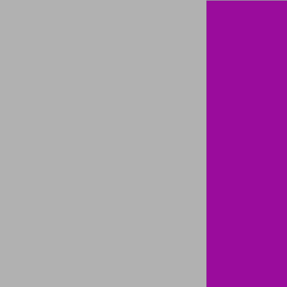 Silver/Purple