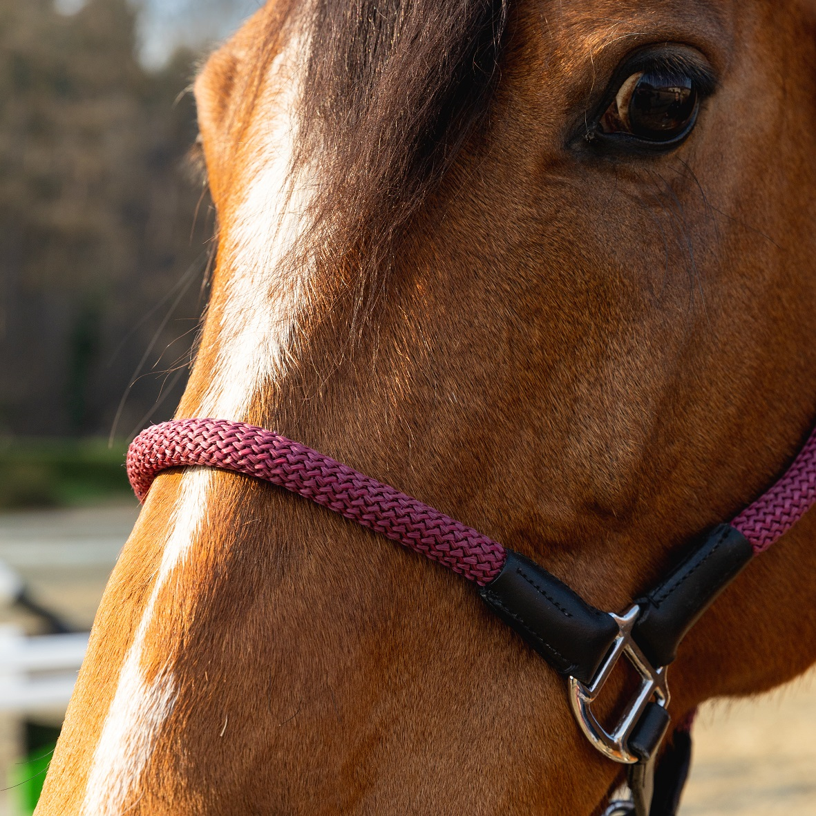 42218-bo2|cavezza_con_lunghina_d_istinto_tonda_cuoio_sintetica_full_nera_borde_