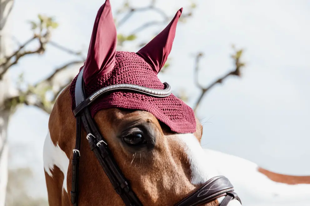 Cuffia Kentucky Wellington Per Cavalli - Anti Mosche E Rumori, Con Strass E Perle, Taglia Unica - Foto 9