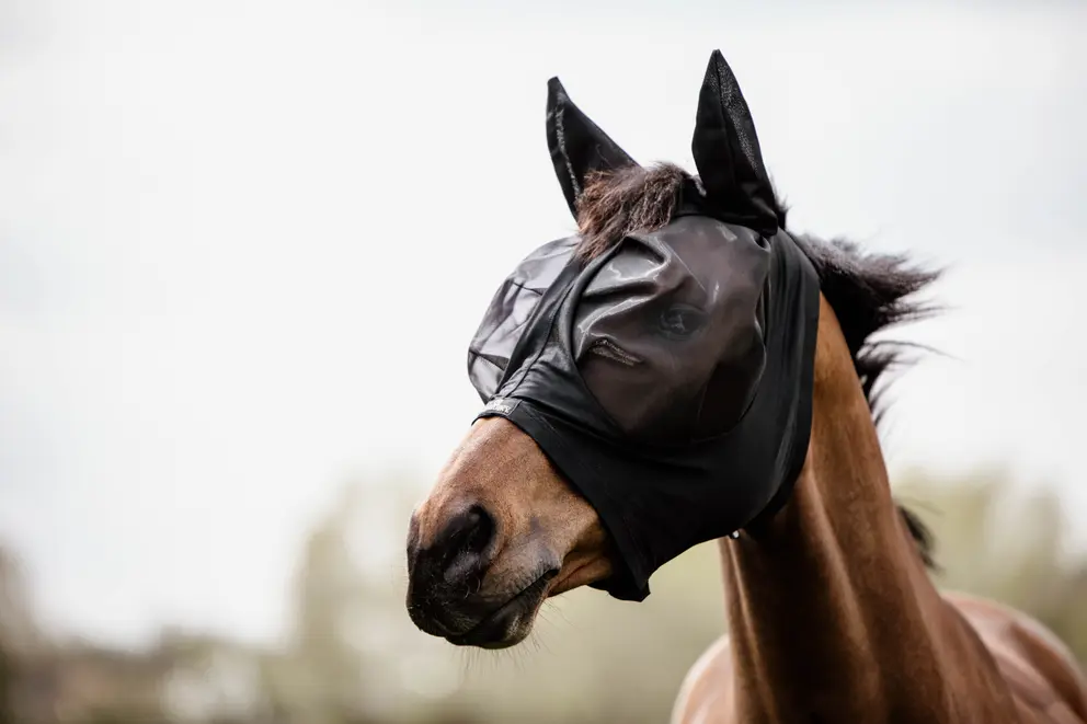 63d0bbc8a4123-2c7894a4b154171a2dbba666743f2b5a20cf32f9_42604_01_102.jpg 63d0bbc8a4123-2c7894a4b154171a2dbba666743f2b5a20cf32f9_42604_01_102.jpg