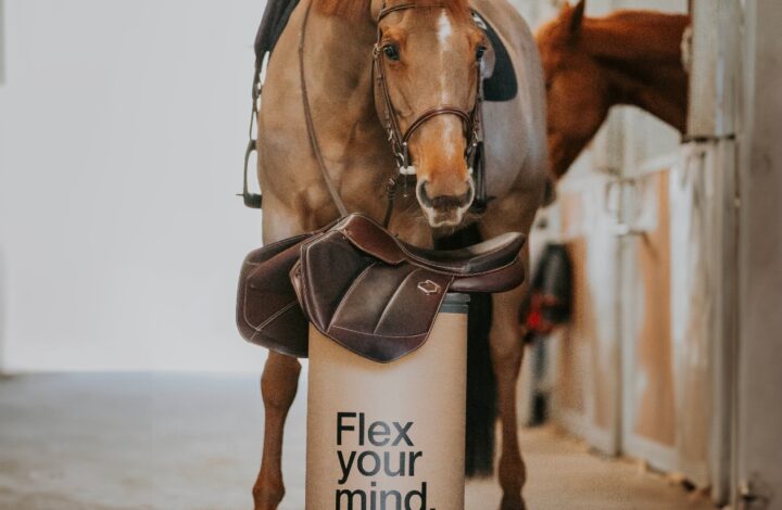 Flex-On…Flex Your Mind !