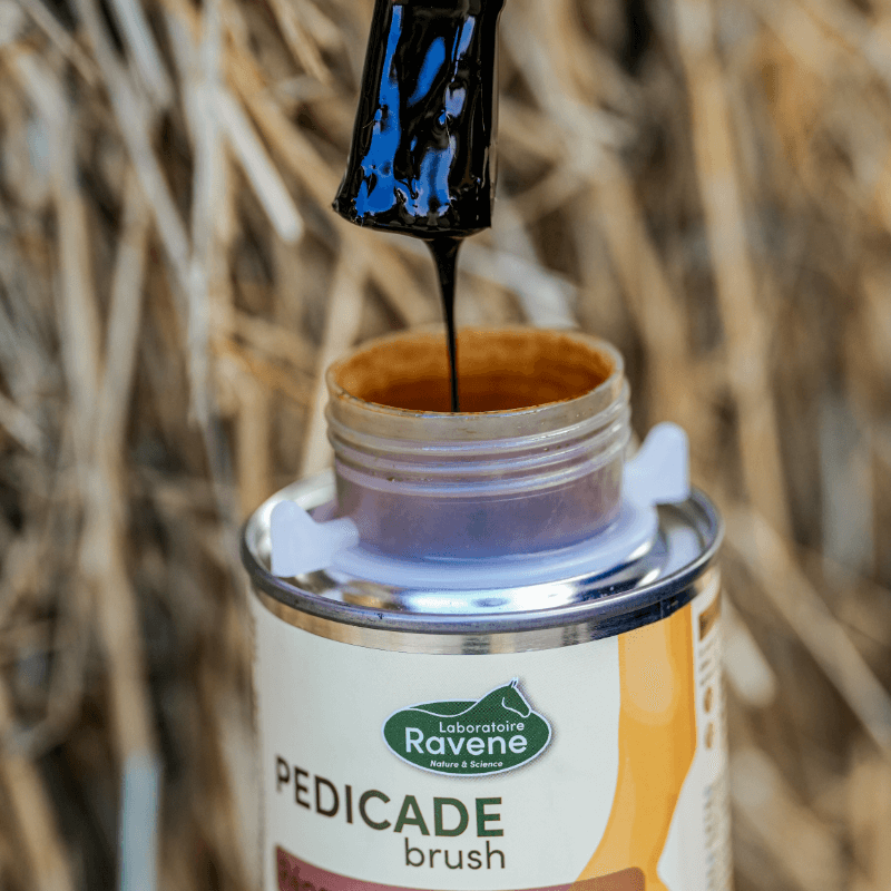 pedicade-brush–3 pedicade-brush–3