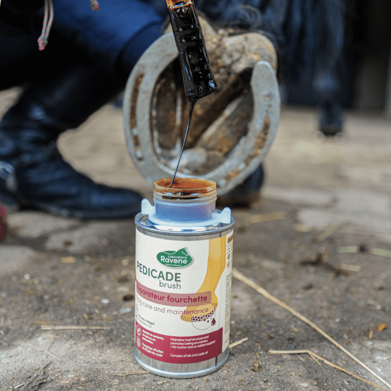 pedicade-brush–5 pedicade-brush–5